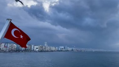 İzmir 'deki Türk Körfezi üzerinde uçan martılar. kopyalama alanı. hd video