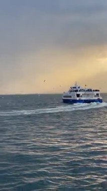 İzmir 'deki Türk Körfezi üzerinde uçan martılar. kopyalama alanı. hd video