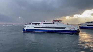 İzmir 'deki Türk Körfezi üzerinde uçan martılar. kopyalama alanı. hd video