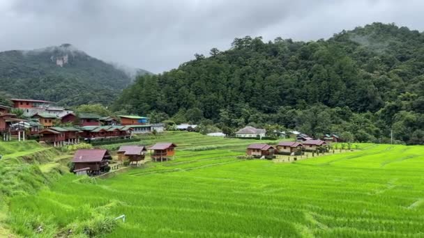 Vista Panorámica Del Paisaje Terraza Arroz Verde Zona Rural Tailandia — Vídeo de stock