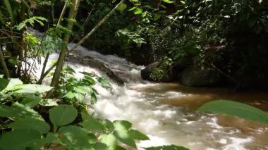 Yağmur ormanlarındaki Küçük Şelale manzarası