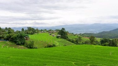 Tayland 'ın Kuzey Kırsal Bölgesinde Yeşil Pirinç Terasında Yağmurlu Mevsim' de Bulutlar Giderek Hızlanıyor