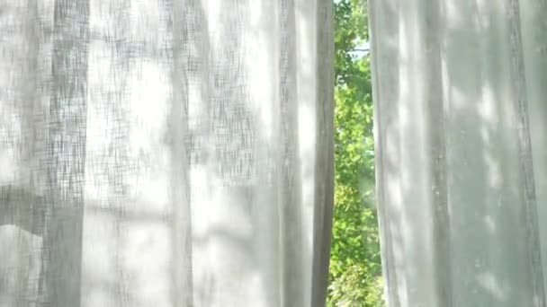 Cortinas Con Movimiento Sombra Árbol Ramificado Superficie Ventana Jardín Introducción — Vídeos de Stock