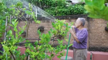 Senior Asian Man Watering Trees in Garden