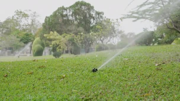 Aspersor Irrigar Água Para Gramado Verde Parque — Vídeo de Stock