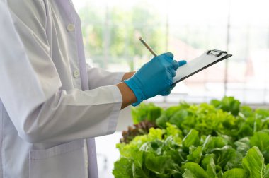 Scientist Doing Experiment in Agriculture Lab to Develope Genetic Modification Crops
