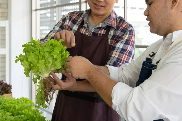 Asian Greengrocer Selling Fresh Organic Green Lettuce Local Market — Foto de Stock