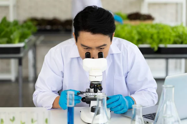 Científico Haciendo Experimento Laboratorio Agricultura Para Desarrollar Cultivos Modificación Genética — Foto de Stock
