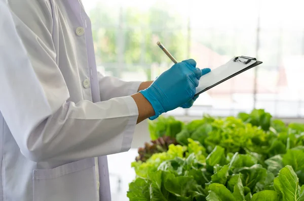 Científico Haciendo Experimento Laboratorio Agricultura Para Desarrollar Cultivos Modificación Genética Imagen De Stock