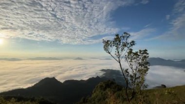 Şafakta Sis Denizi Phu Chi Dao, Chiangmai, Tayland 