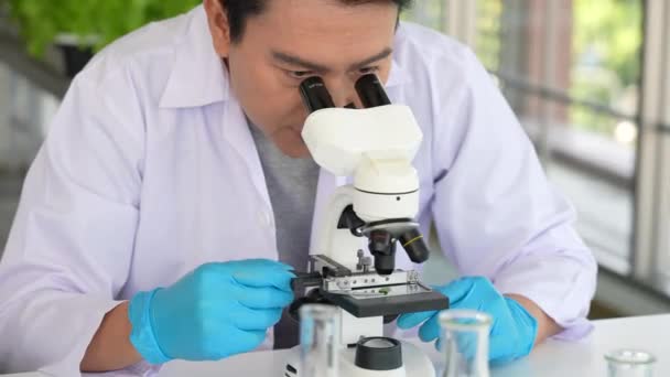 Scienziato Asiatico Che Esperimento Sull Organismo Modificazione Genetica Delle Piante — Video Stock