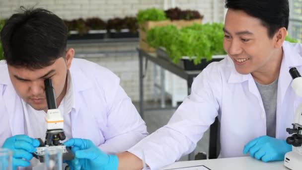 Asiatiska Forskarlaget Gör Experiment Genetisk Modifiering Organism Växter Och Grödor — Stockvideo