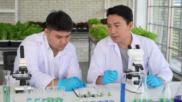 Équipe Scientifiques Asiatiques Faisant Des Expériences Sur Les Modifications Génétiques — Video