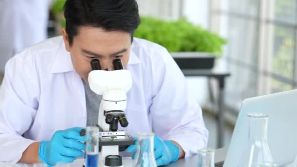 Азіатський Вчений Проводив Експеримент Генетичної Модифікації Організму Рослин Культур Лабораторії — стокове відео