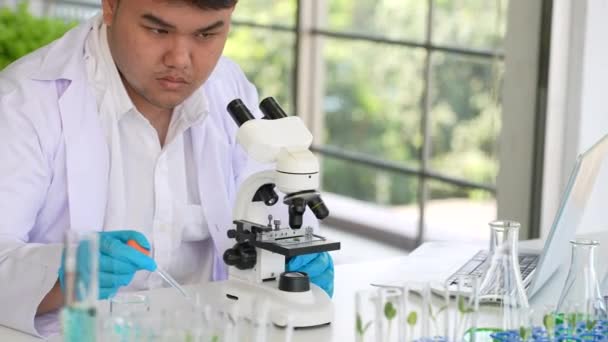 Азиатский Ученый Проводит Эксперимент Генетически Модифицированном Организме Растений Культур Лаборатории — стоковое видео