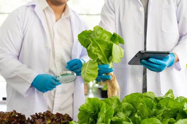 Equipo Científico Haciendo Experimento Laboratorio Agricultura Para Desarrollar Cultivos Modificación — Foto de Stock