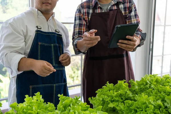Greengrocer Asiático Trabajador Que Utiliza Tecnología Para Organizar Venta Lechuga — Foto de Stock