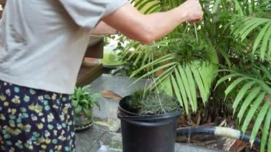 Bahçedeki Kıdemli Asyalı Kadın Sulama Tesisi