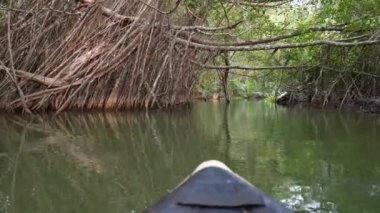 Küçük Amazon Takua Pa Tayland manzarası. Kanalda Binen Tekne ile Yağmur Ormanı Manzarası