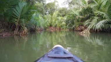 Küçük Amazon Takua Pa Tayland manzarası. Kanalda Binen Tekne ile Yağmur Ormanı Manzarası