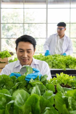 Tarım Laboratuvarında Genetik Değişiklik Ürünleri Geliştirmek İçin Bilim Adamları Deney Yapıyor