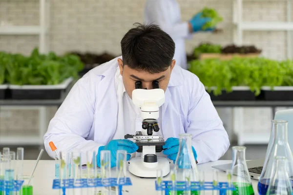 Científico Haciendo Experimento Laboratorio Agricultura Para Desarrollar Cultivos Modificación Genética — Foto de Stock