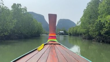 Tayland 'da seyahat ederken tekneden Kanal ve Mangrove Ormanı Manzarası