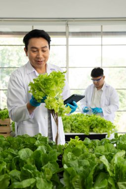 Tarım Laboratuvarında Genetik Değişiklik Ürünleri Geliştirmek İçin Bilim Adamları Deney Yapıyor