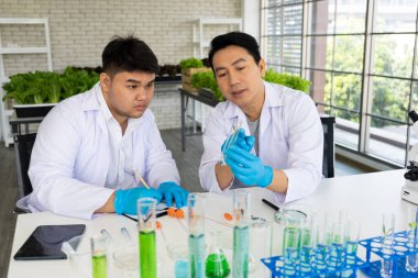 Tarım Laboratuvarında Genetik Değişiklik Ürünleri Geliştirmek İçin Bilim Adamları Deney Yapıyor