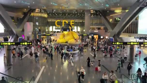 Niedźwiedź Lampa Południowym Węźle Terminalu Hamad International Airport — Wideo stockowe