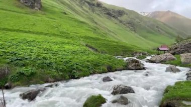 Yazın Juta Georgia 'da Small Creek