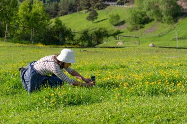 Georgia kırsalındaki Yeşil Çayır 'da Küçük Çiçeklerin Fotoğrafını Çekmek İçin Akıllı Telefon Kullanan Asyalı Kadın