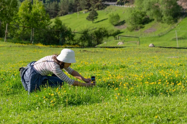Georgia kırsalındaki Yeşil Çayır 'da Küçük Çiçeklerin Fotoğrafını Çekmek İçin Akıllı Telefon Kullanan Asyalı Kadın