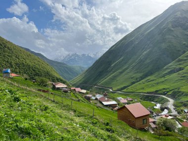 Yazın Juta Gerogia 'da Küçük Akıntı Manzarası