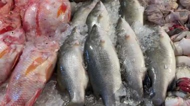 Piyasada Satılan Çiğ Balık Türünün Üst ve Pan Görünümü