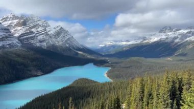 Pan View of Peyto Lake in Banff Ulusal Parkı, Alberta, Kanada Sunny Day