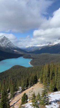 Pan View of Peyto Lake in Banff Ulusal Parkı, Alberta, Kanada Sunny Day