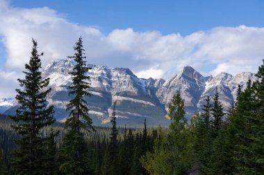 Güneşli bir günde Kar Dağları ve Çam Ormanı manzarası