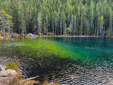 Kanada - 29. Sezon 2024: Sonbaharda Grassi Gölü 'nün güzel manzarası