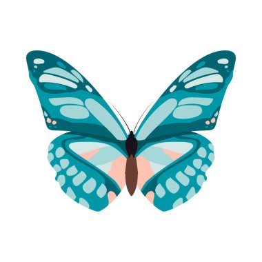 Düz beyaz arka planda duran mavi bir kelebek..