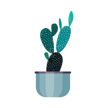 Bir kabın içine konmuş kaktüs bitkisi, sade beyaz bir arka plan üzerine yerleştirilmiş..