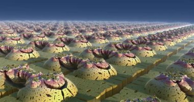 Yabancı bir gezegenin yüzeyi, yabancı bir güneşin altında.