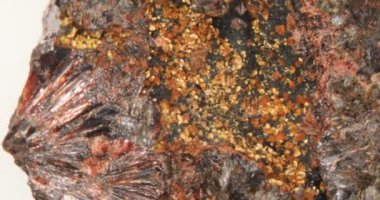 Taş üzerinde Eleonorite ve Kakoxen mineralleri
