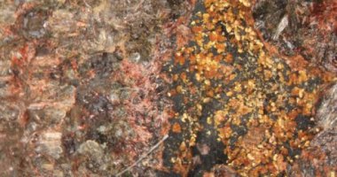 Taş üzerinde Eleonorite ve Kakoxen mineralleri