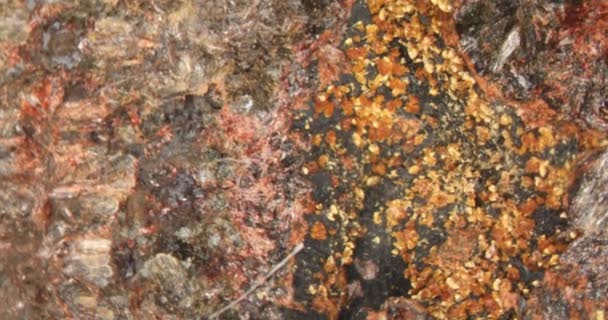 Taş Üzerinde Eleonorite Kakoxen Mineralleri — Stok video