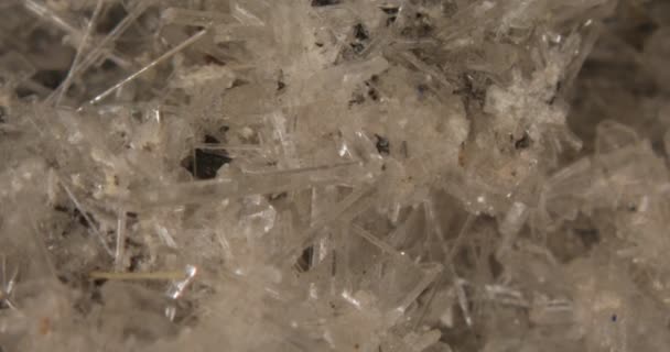 Selenitkristallnadeln Auf Felsen — Stockvideo