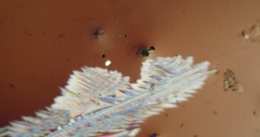 Mikroskop altında polarize ışıktaki sitrik asit kristalleri