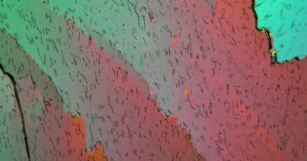 顕微鏡下で偏光した尿素結晶 — ストック動画