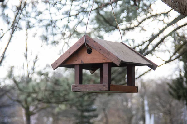 Casa Pássaros Madeira Pendura Árvore Primavera — Fotografia de Stock