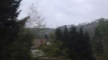 Yeşil manzara tren penceresinin önünden uçuyor.